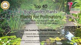 Top 40 Bog Garden Plants for Pollinators
