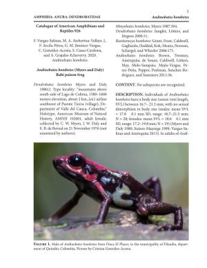 Myers 1987:304. Dendrobates Bombetes: Jungfer, Lötters, And