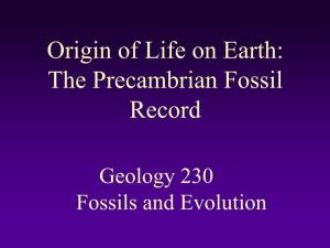 Fossil Record of Early Life