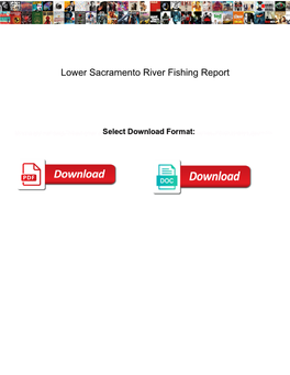 Lower Sacramento River Fishing Report