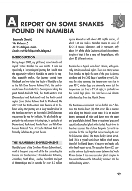 Rj REPORT on SOME SNAKES FOUND in NAMIBIA\