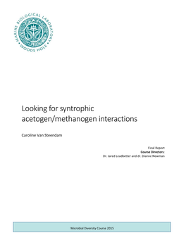 Looking for Syntrophic Acetogen/Methanogen Interactions