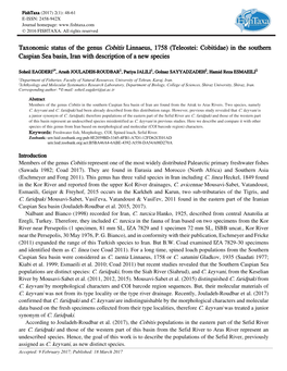 Taxonomic Status of the Genus Cobitis Linnaeus, 1758 (Teleostei: Cobitidae) in the Southern Caspian Sea Basin, Iran with Description of a New Species