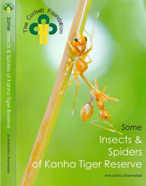 Insects & Spiders of Kanha Tiger Reserve