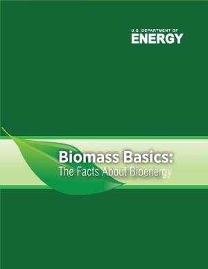 Biomass Basics: the Facts About Bioenergy 1 We Rely on Energy Every Day