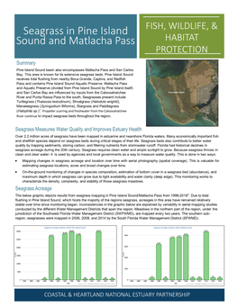 Seagrass in Pine Island Sound and Matlacha Pass