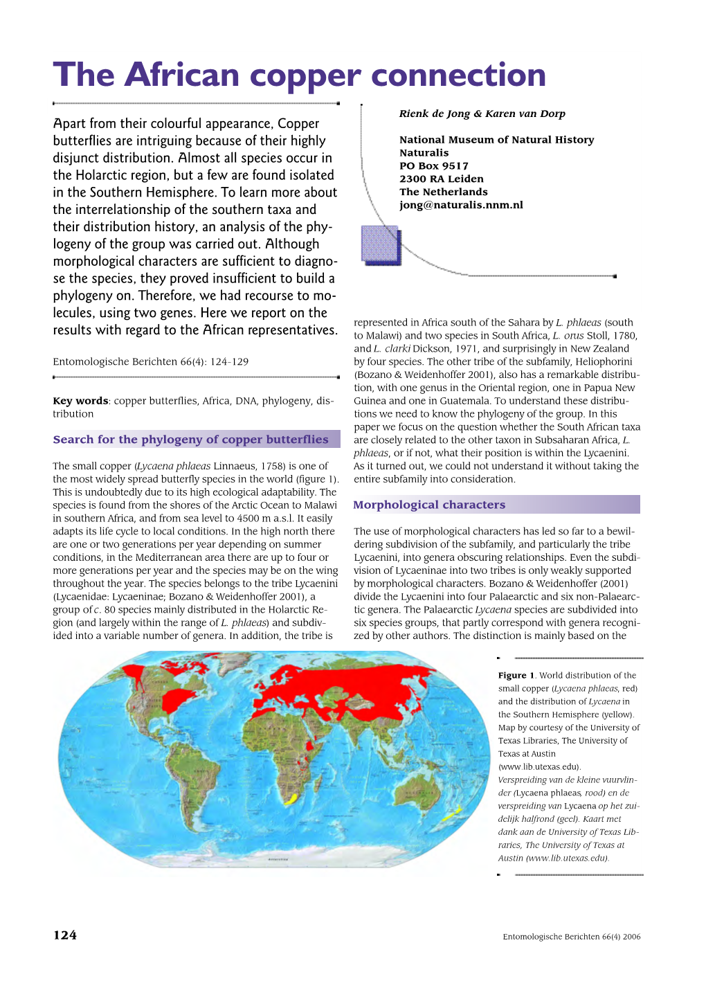 The African Copper Connection