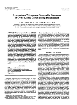 Expression of Manganese Superoxide Dismutase in Ovine Kidney Cortex During Development