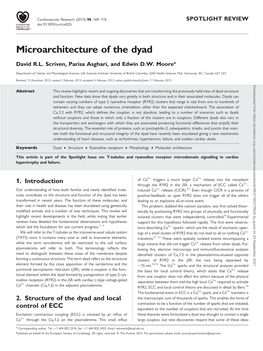 Microarchitecture of the Dyad