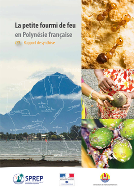 La Petite Fourmi De Feu En Polynésie Française Rapport De Synthèse