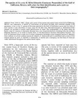 The Species of Sicyonia H. Milne Edwards (Crustacea: Penaeoidea