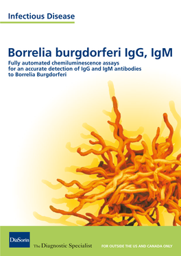 Borrelia Burgdorferi Igg, Igm Fully Automated Chemiluminescence Assays for an Accurate Detection of Igg and Igm Antibodies to Borrelia Burgdorferi