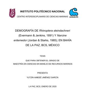 Y Narcine Entemedor (Jordan & Starks, 1985); EN BAHÍA DE LA PAZ, BCS, MÉXICO