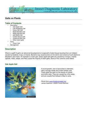 Galls on Plants