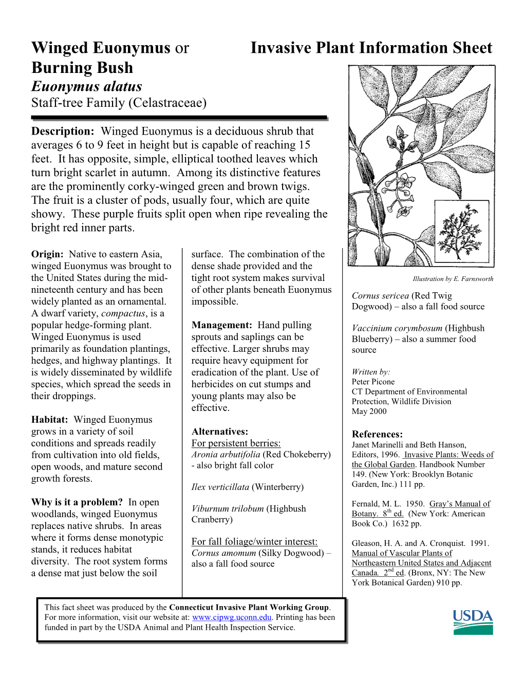 Winged Euonymus Or Invasive Plant Information Sheet Burning Bush Euonymus Alatus Staff-Tree Family (Celastraceae)