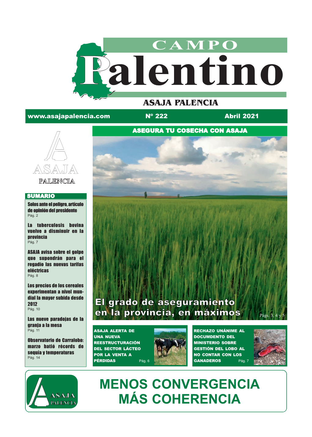 Campo Palentino Abril 2021