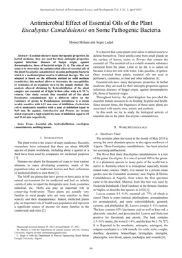 Antimicrobial Effect of Essential Oils of the Plant Eucalyptus Camaldulensis on Some Pathogenic Bacteria