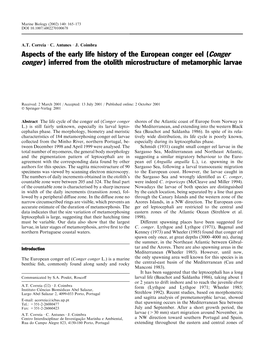 Aspects of the Early Life History of the European Conger Eel (Conger