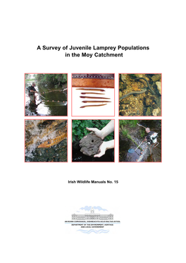 A Survey of Juvenile Lamprey Populations in the Moy Catchment