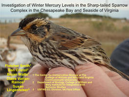 Winter Distribution of the Sharp-Tailed Sparrow Complex in Virginia