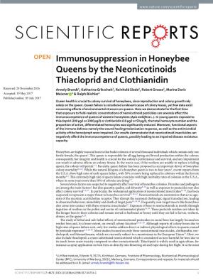 Immunosuppression in Honeybee Queens by the Neonicotinoids Thiacloprid and Clothianidin