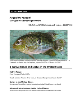 Aequidens Rondoni Ecological Risk Screening Summary