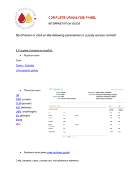 Complete Urinalysis Panel