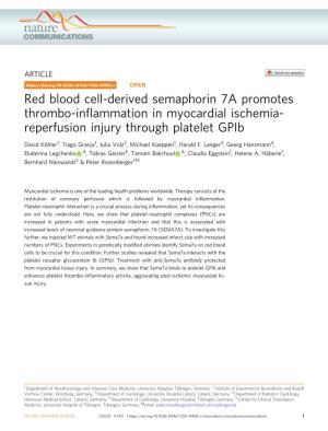 Red Blood Cell-Derived Semaphorin 7A Promotes Thrombo-Inflammation