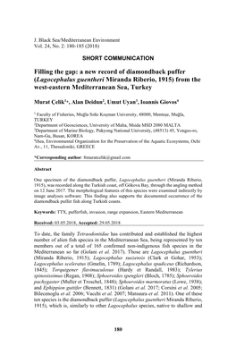 Filling the Gap: a New Record of Diamondback Puffer (Lagocephalus Guentheri Miranda Riberio, 1915) from the West-Eastern Mediterranean Sea, Turkey