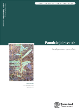 Pannicle Jointvetch Aeaeschynomene Paniculata