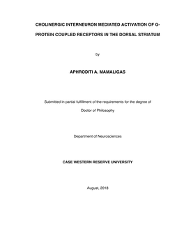 Cholinergic Interneuron Mediated Activation of G