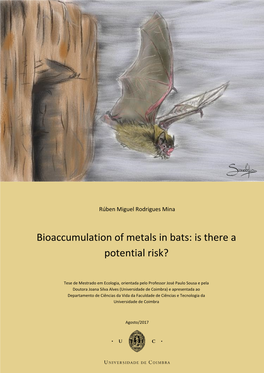 Bioaccumulation of Metals in Bats: Is There a Potential Risk?