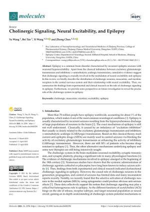 Cholinergic Signaling, Neural Excitability, and Epilepsy