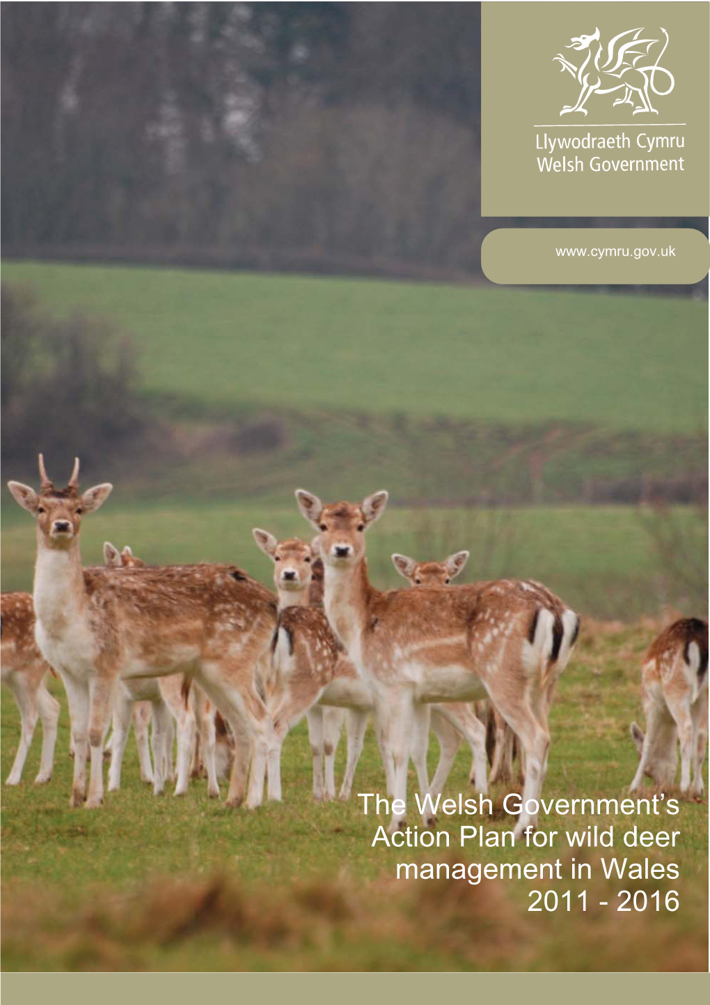 The Welsh Government's Action Plan for Wild