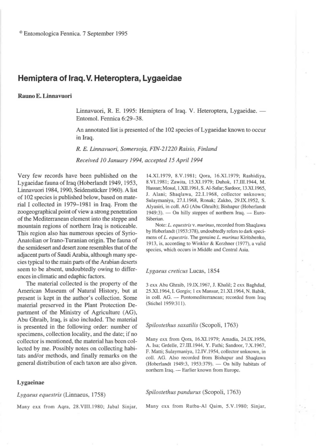 Hemiptera of Iraq. V. Heteroptera, Lygaeidae