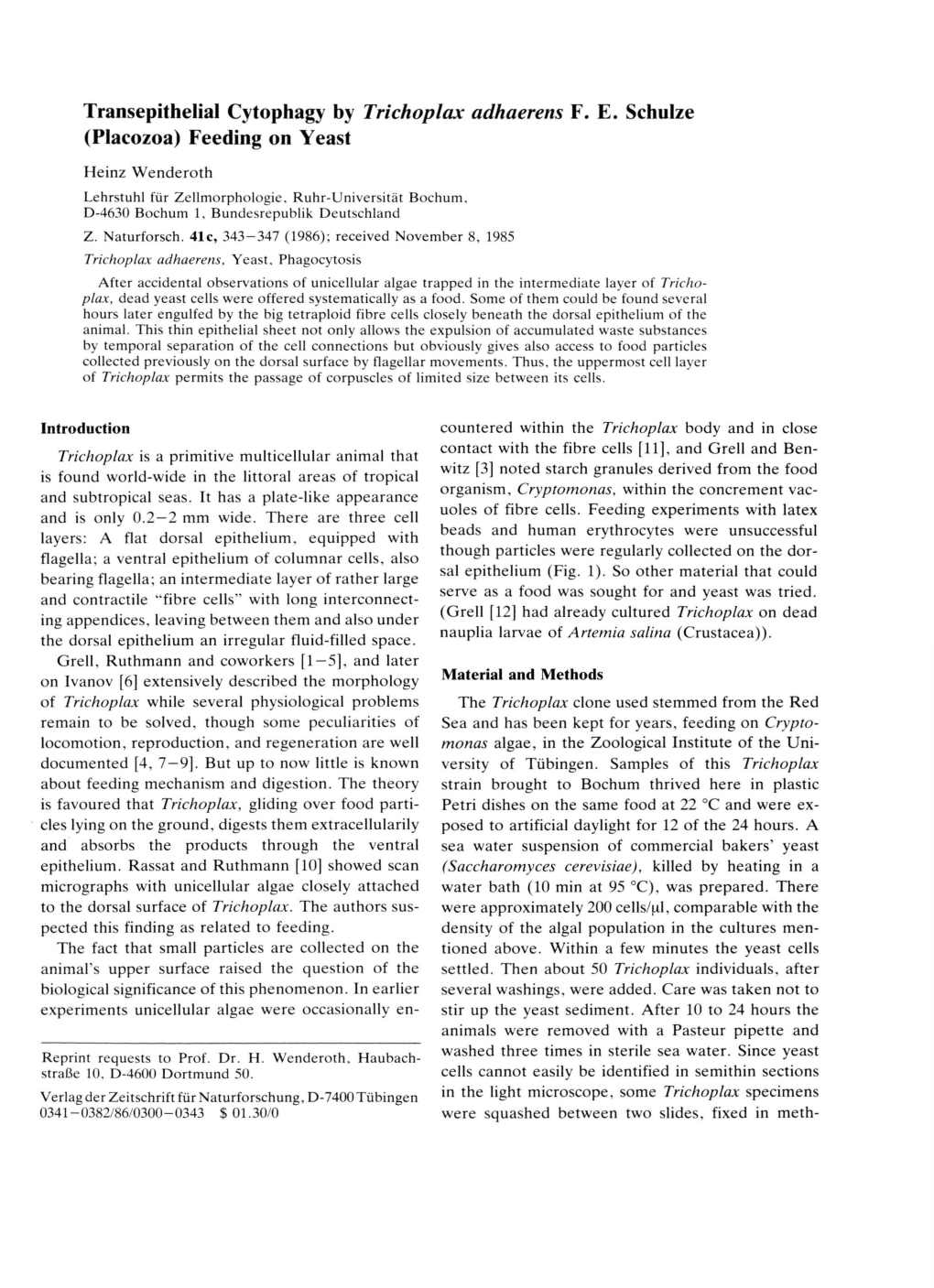 Transepithelial Cytophagy by Trichoplax Adhaerens FE Schulze