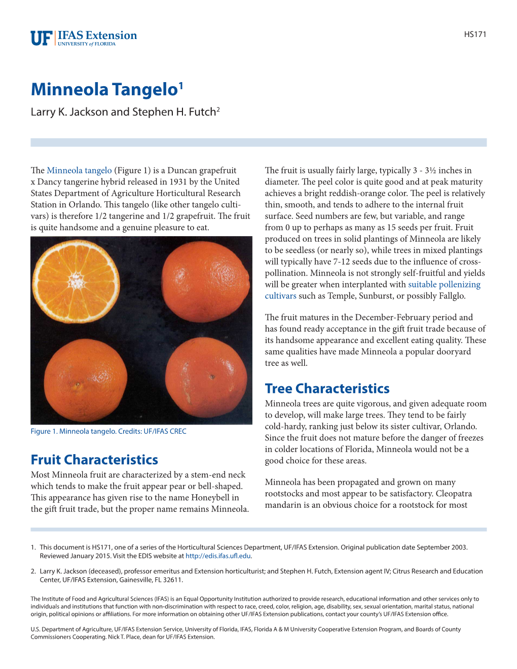 Minneola Tangelo1 Larry K