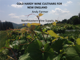 Andy Farmer Northeastern Vine Supply, Inc COLD HARDY WINE CULTIVARS for NEW ENGLAND