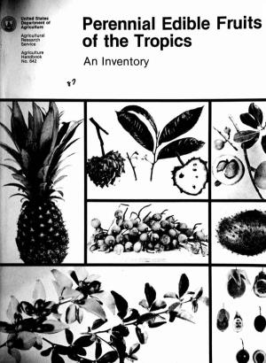 Perennial Edible Fruits of the Tropics: an and Taxonomists Throughout the World Who Have Left Inventory