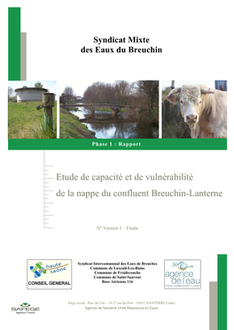 Etude De Capacité Et De Vulnérabilité De La Nappe Du Confluent Breuchin-Lanterne