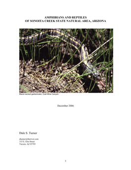 Amphibians and Reptiles of Sonoita Creek State Natural Area, Arizona