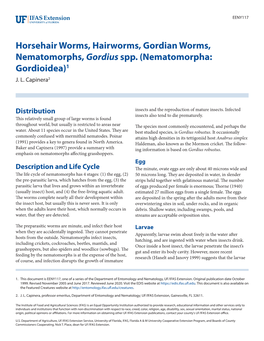 Horsehair Worms, Hairworms, Gordian Worms, Nematomorphs, Gordius Spp
