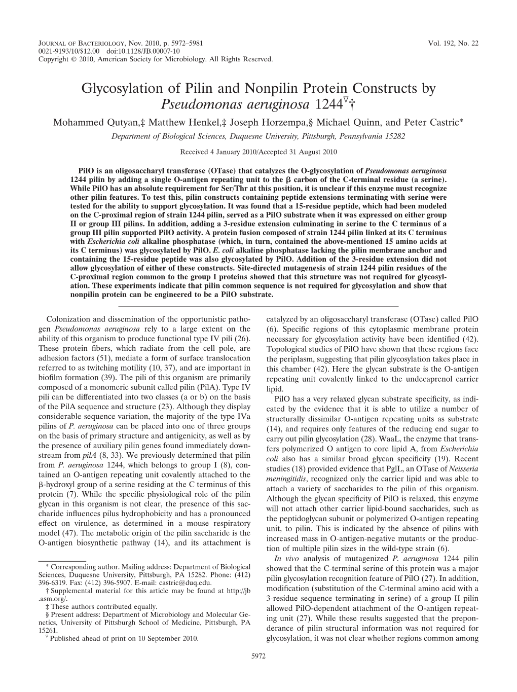 Glycosylation of Pilin and Nonpilin Protein