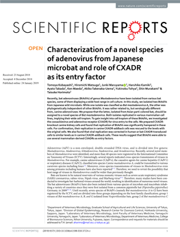 Characterization of a Novel Species of Adenovirus from Japanese Microbat
