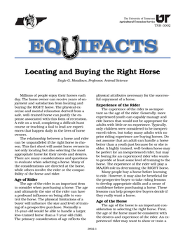 Locating and Buying the Right Horse