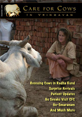 Rescuing Cows in Radha Kund Surprise Arrivals Patient Updates Go Sevaks Visit CFC Go-Smaranam and Much More Surprise Arrivals