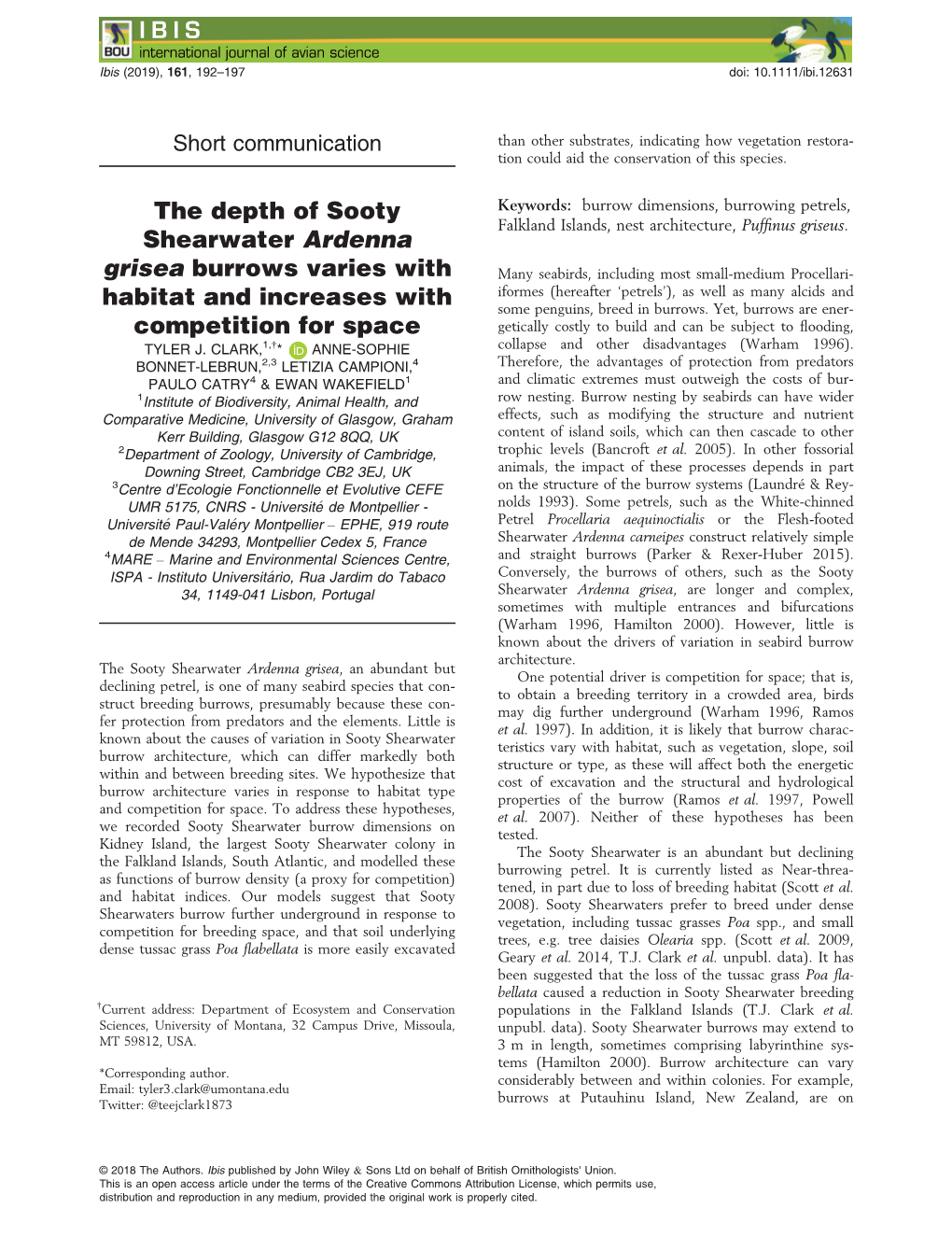 The Depth of Sooty Shearwater Ardenna Grisea Burrows Varies With