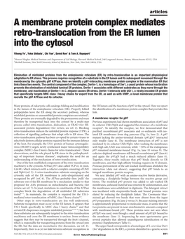 A Membrane Protein Complex Mediates Retro-Translocation from the ER Lumen Into the Cytosol