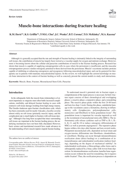 Muscle-Bone Interactions During Fracture Healing