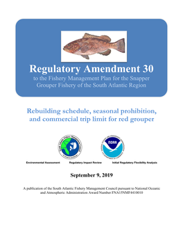 Snapper Grouper Regulatory Amendment 30